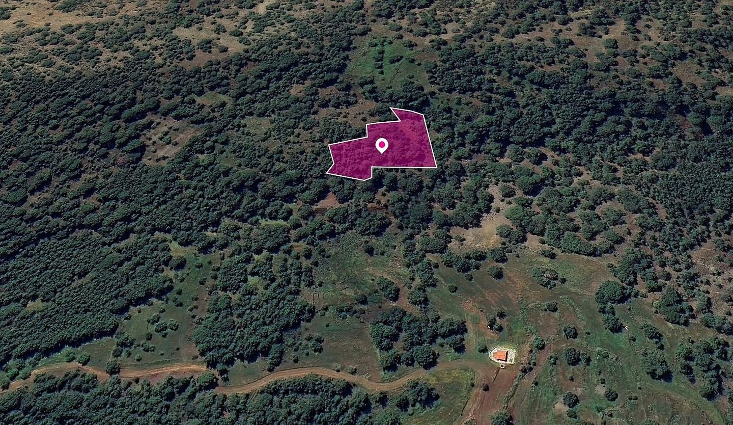 Special Protection FIeld, Pomos, Paphos photo 3