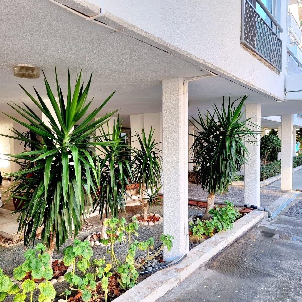 2 BR Apartment in Neapolis, Limassol photo 15