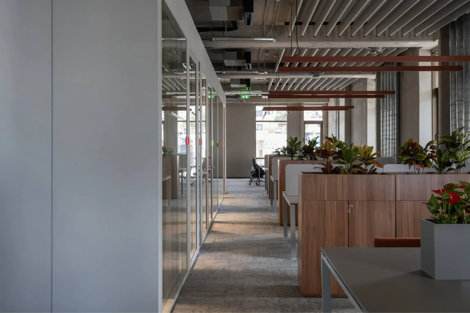 Premium Office for 34 People in Mesa Geitonia, Limassol photo 8