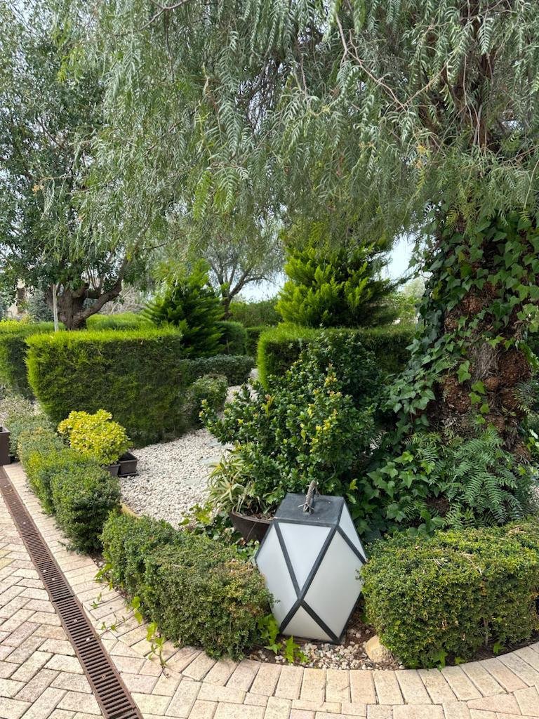 5 BR Villa in Kouklia, Paphos photo 20