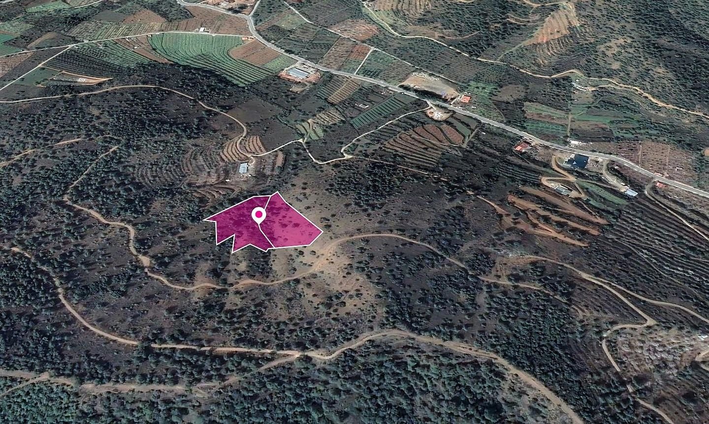 2 x Fields in Tsakistra, Nicosia photo 3