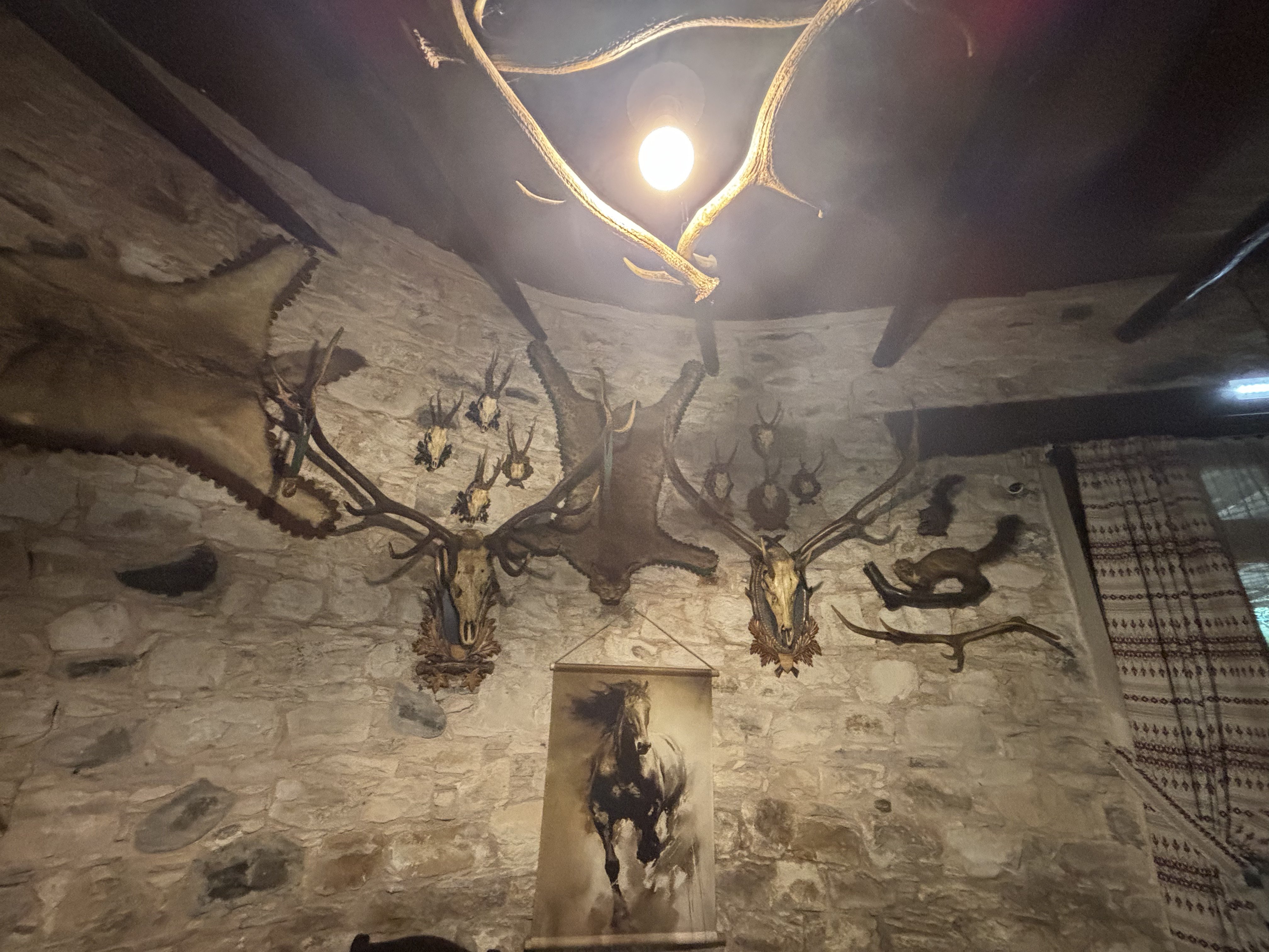 Restaurant with guest rooms in Pera Pedi, Limassol photo 7