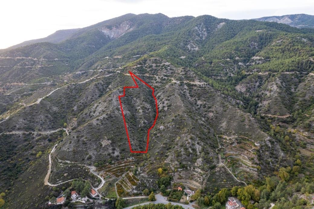 Agricultural field in Pelendri, Limassol photo 3