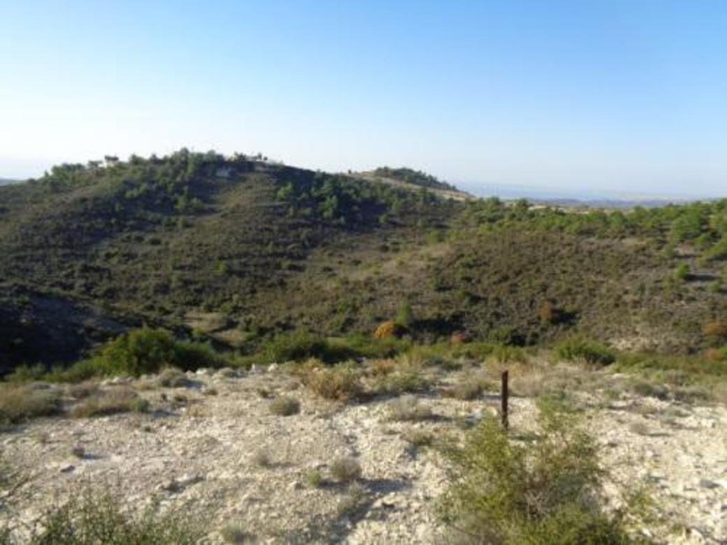 Agricultural field in Asgata, Limassol photo 2