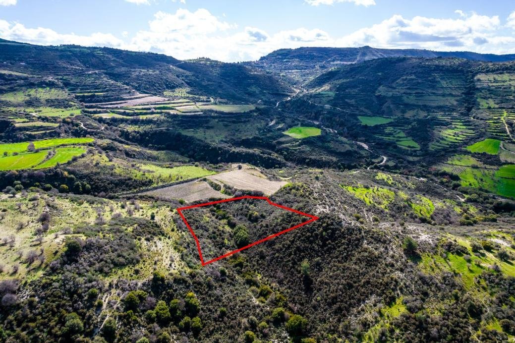 Field in Dora, Limassol photo 4