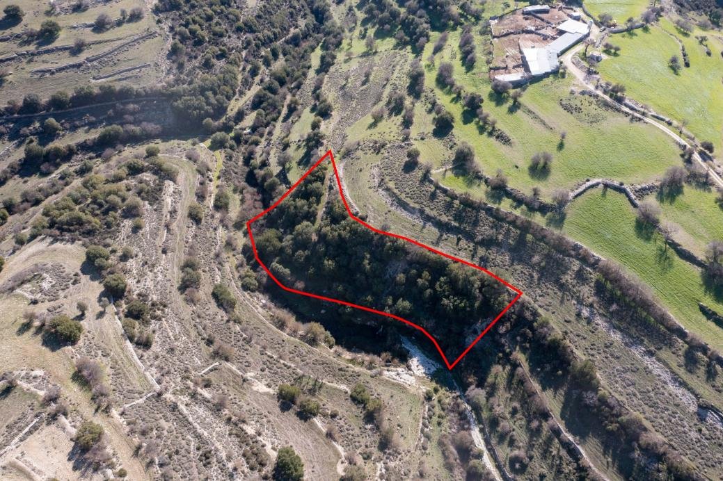 Field in Dora, Limassol photo 2