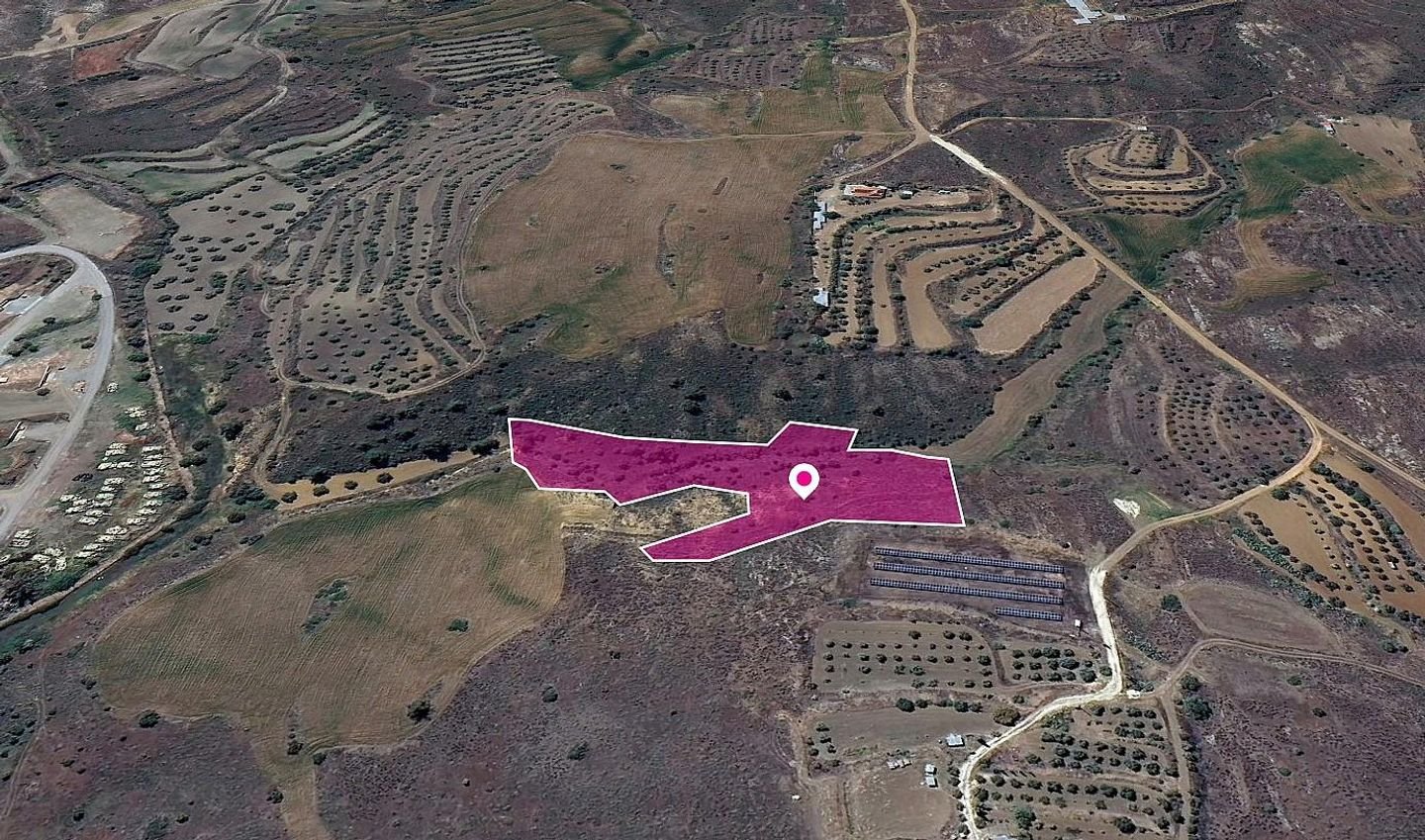 Field in Agrokipia, Nicosia photo 2