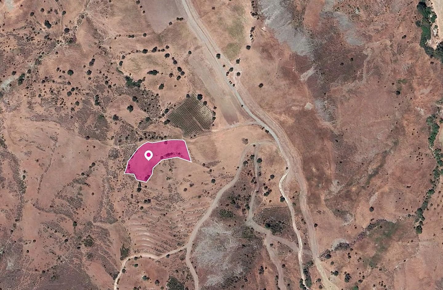 Field in Pano Panagia, Paphos photo 2