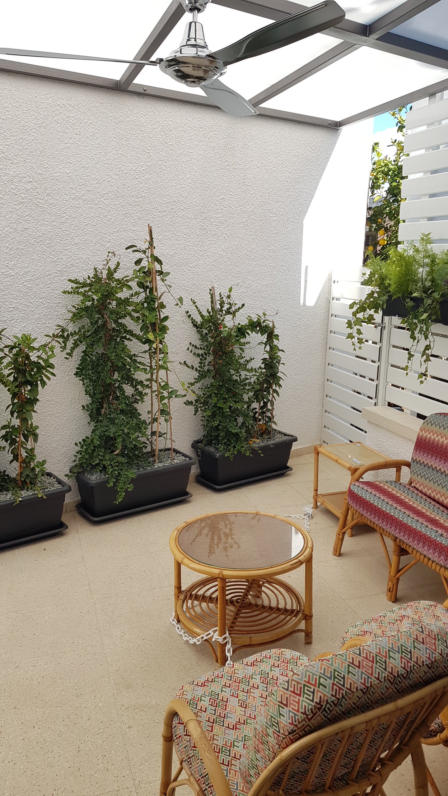 Renovated 3 BR house in the centre of Limassol photo 20