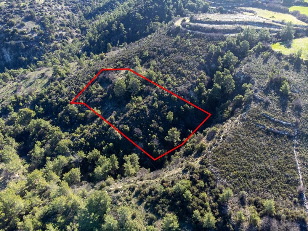 Field in Mousere, Paphos photo 3