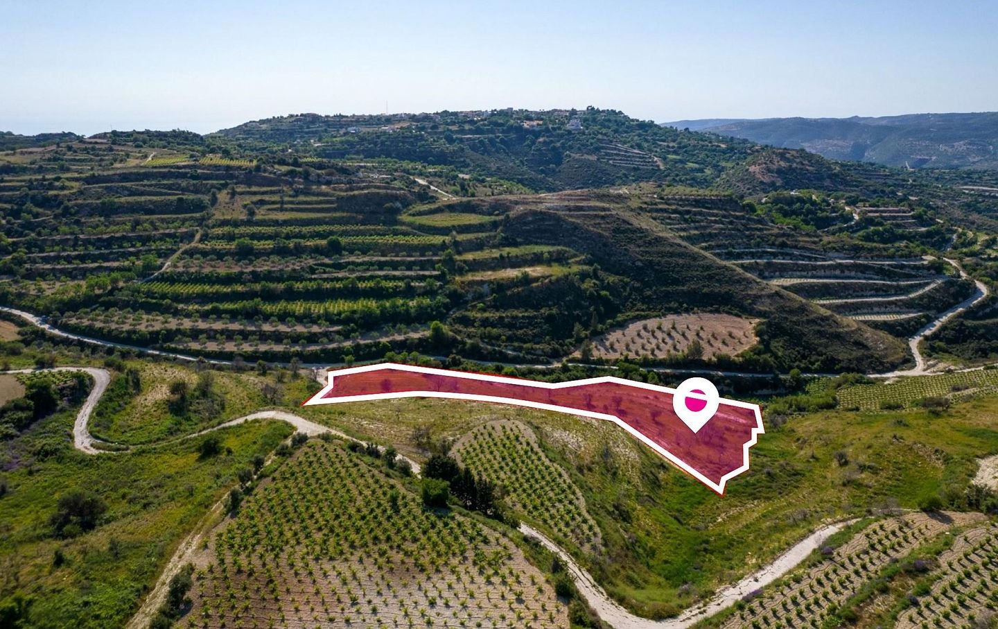 Agricultural Field, Tsada photo 4