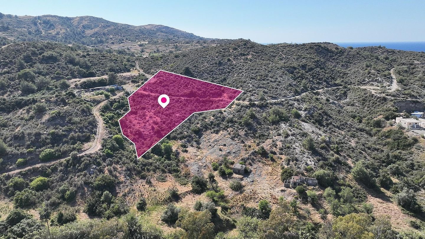 Field in Kato Pyrgos, Nicosia photo 2