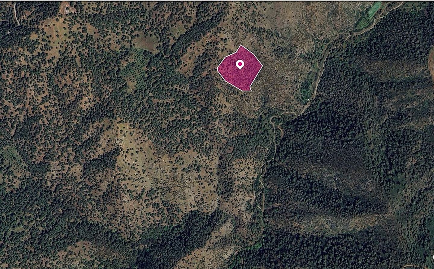 Agricultural field located in Pigenia, Nicosia photo 3