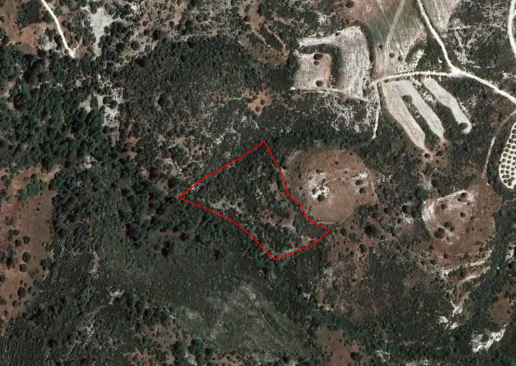 Field in Dora, Limassol photo 1