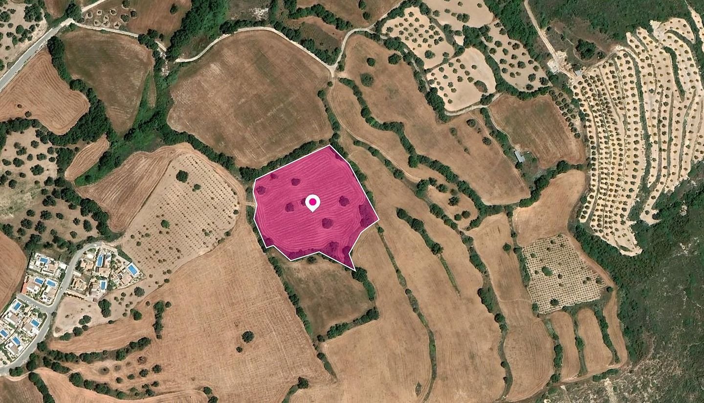 Field in Akourdaleia, Paphos photo 2