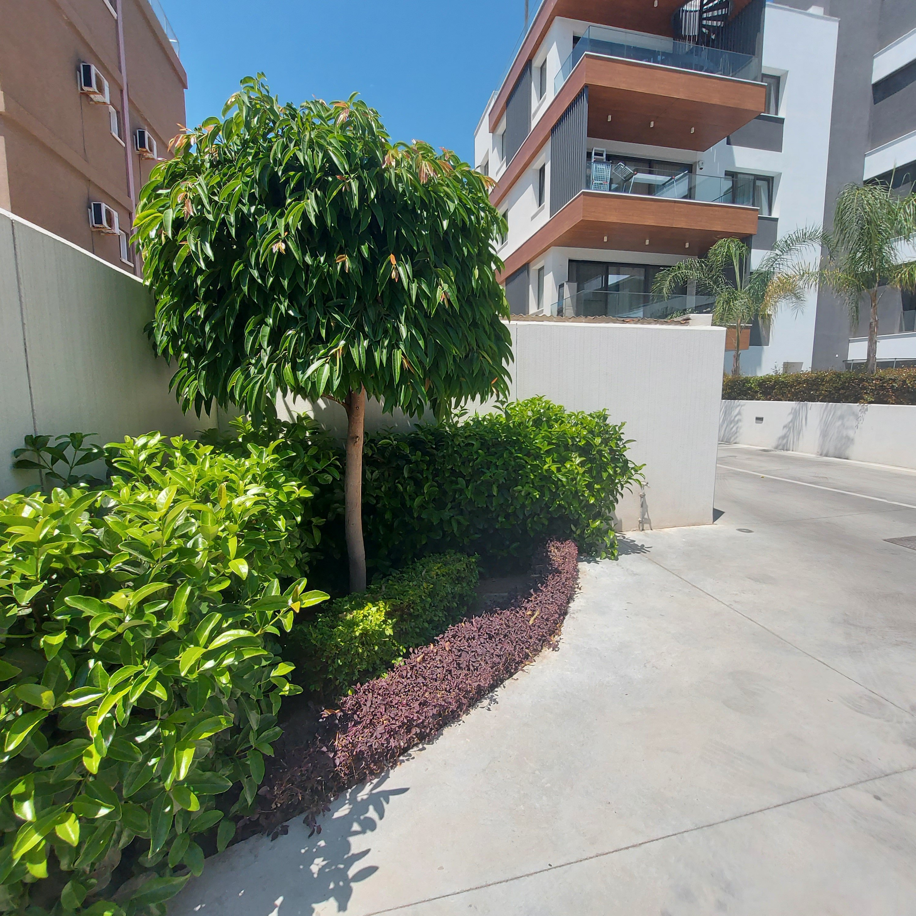 1 BR Apartment in Potamos Germasogeias, Limassol photo 12