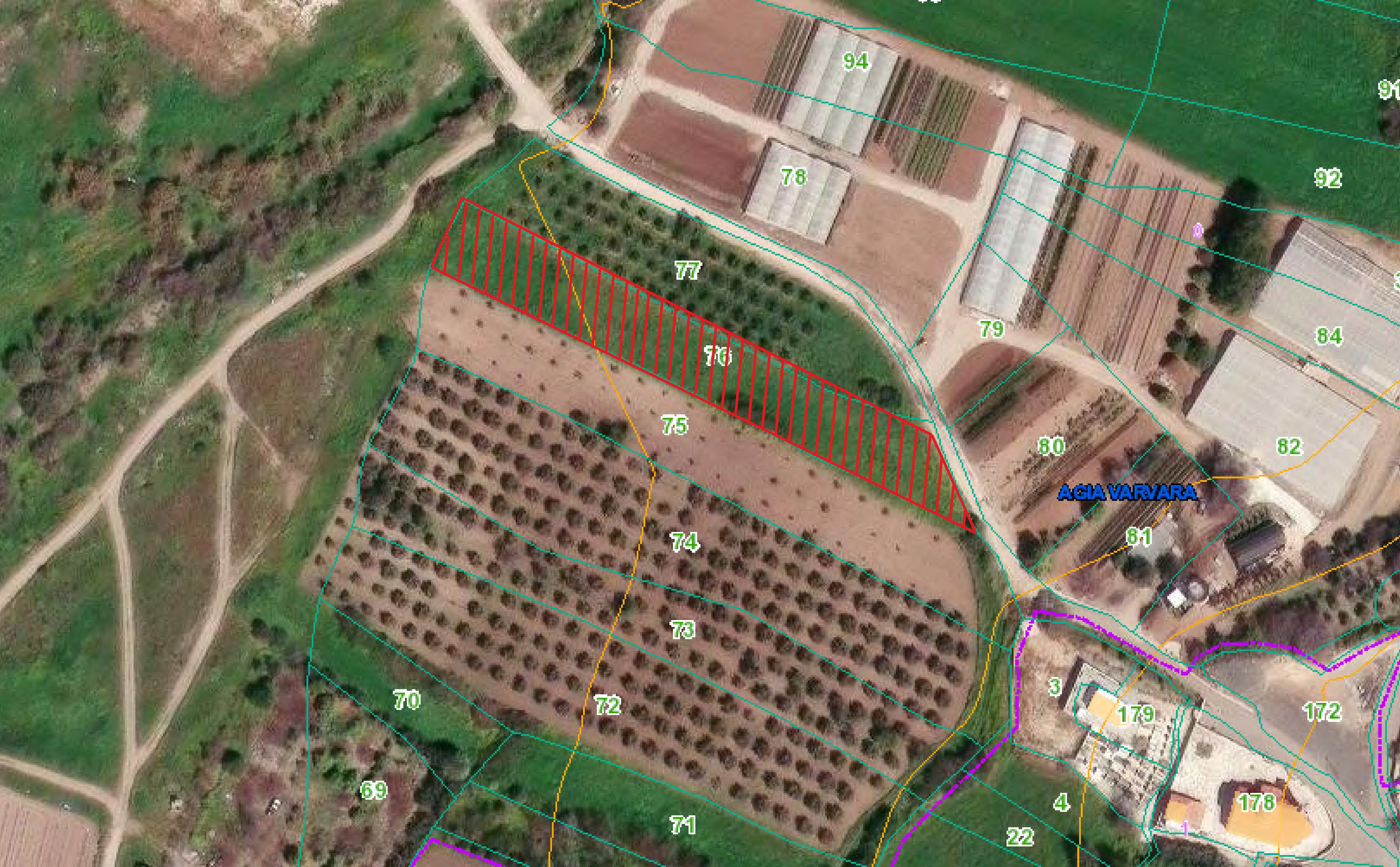 Countryside Plot in Agia Varvara, Paphos photo 5