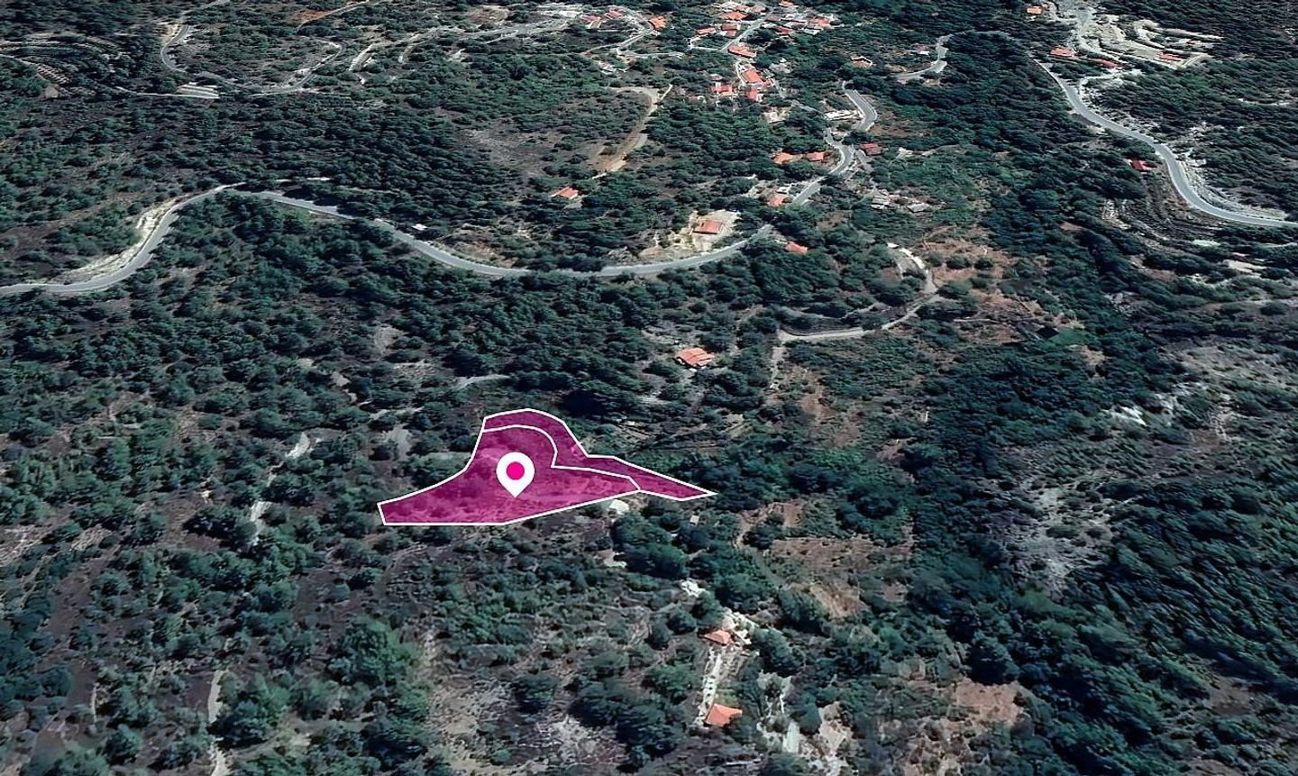 Shared Fields, Palaiomylos, Limassol photo 3