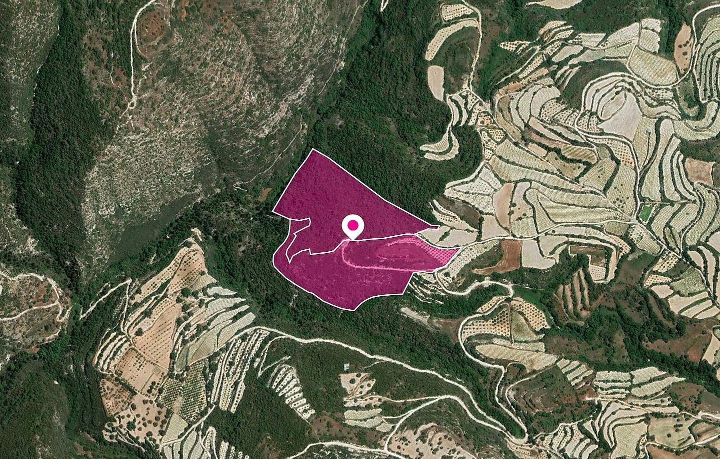 Shared Agricultural Fields, Koili, Paphos photo 3