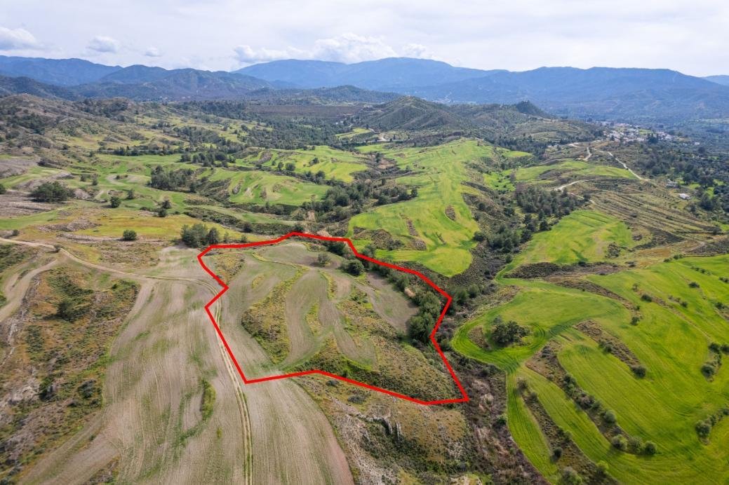 Agricultural field in Linou, Nicosia photo 3