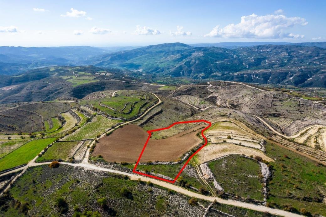 Field in Arsos, Limassol photo 2