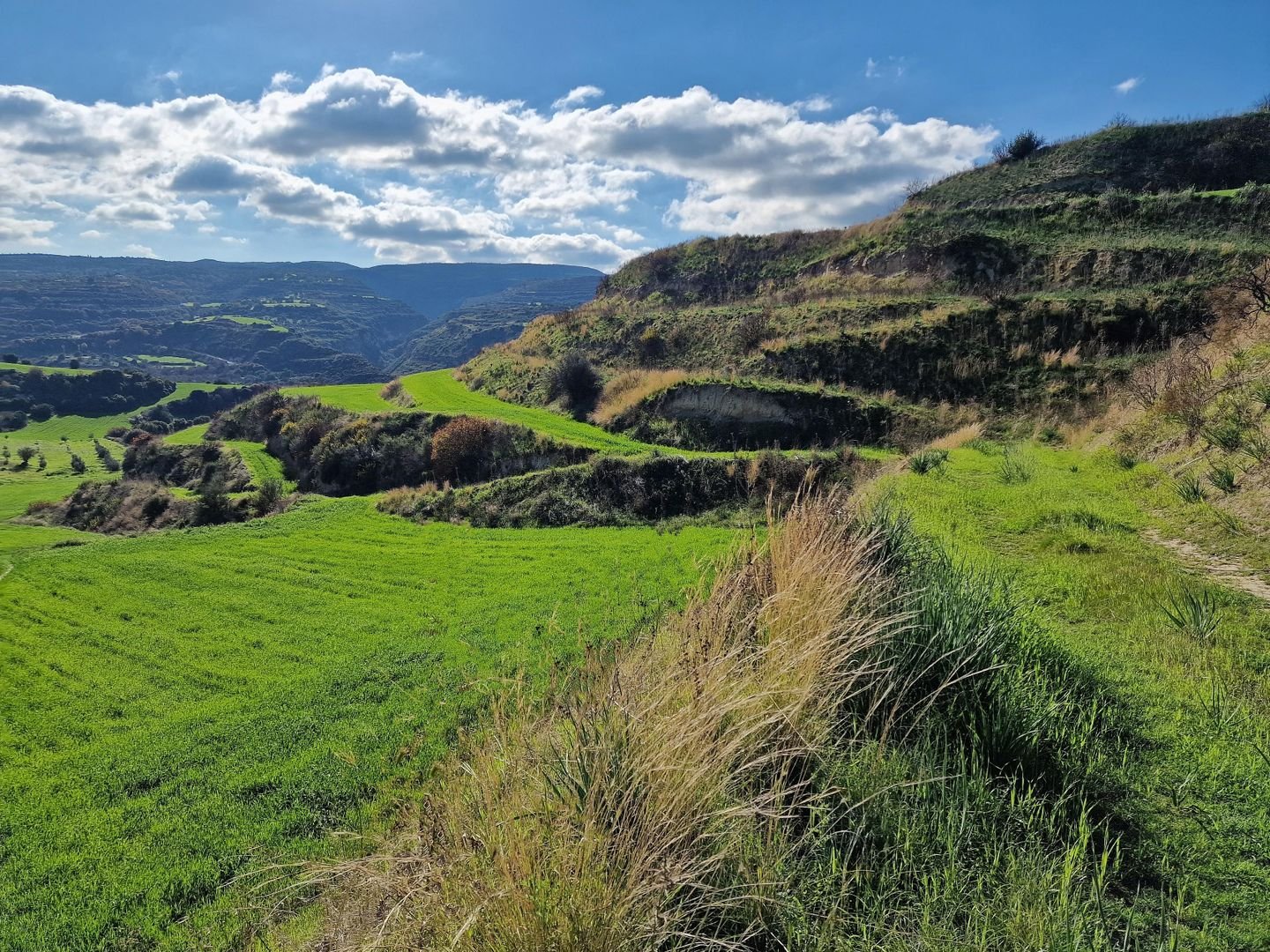 Agricultural Field, Skoulli photo 6