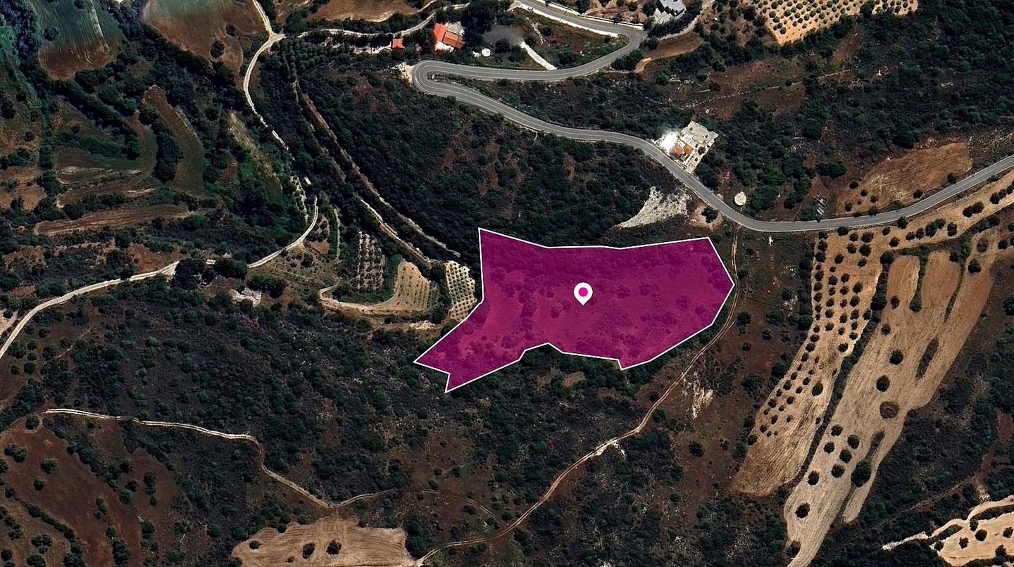 (Share) Agricultural Field, Pano Akourdaleia, Paphos photo 2