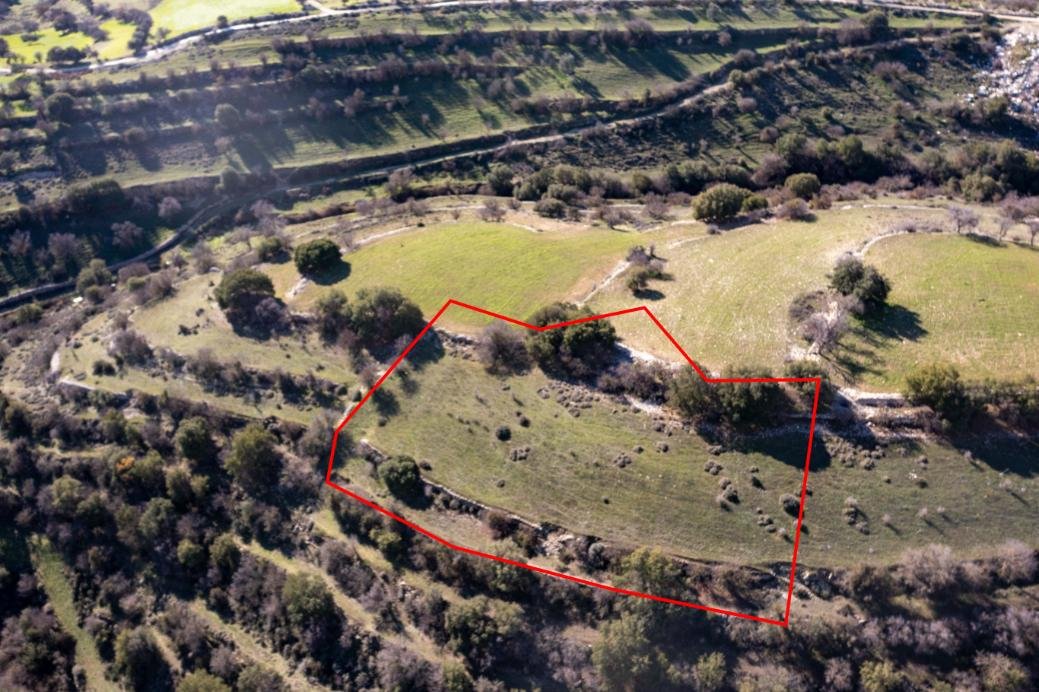 Field in Dora, Limassol photo 2