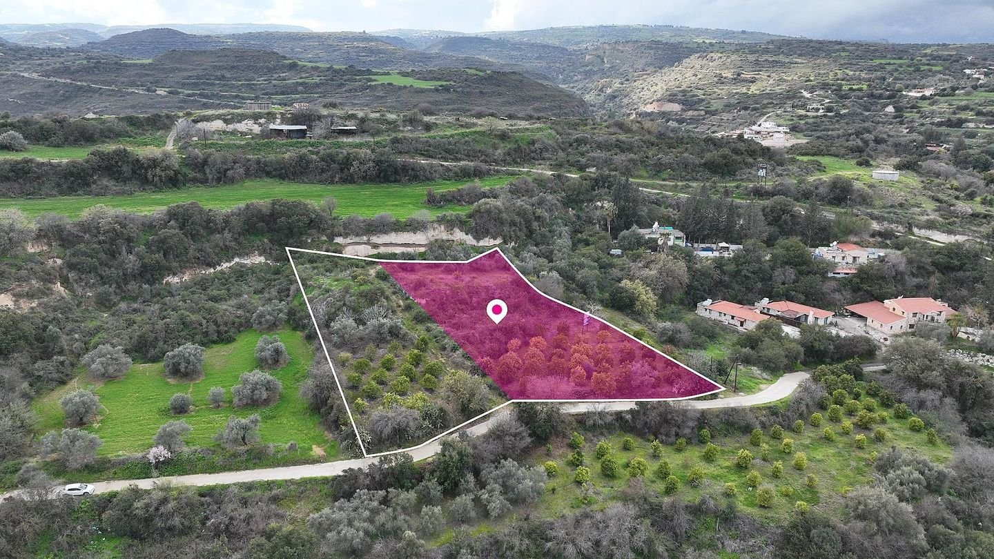 (Share) Residential field located Skoulli, Paphos photo 1