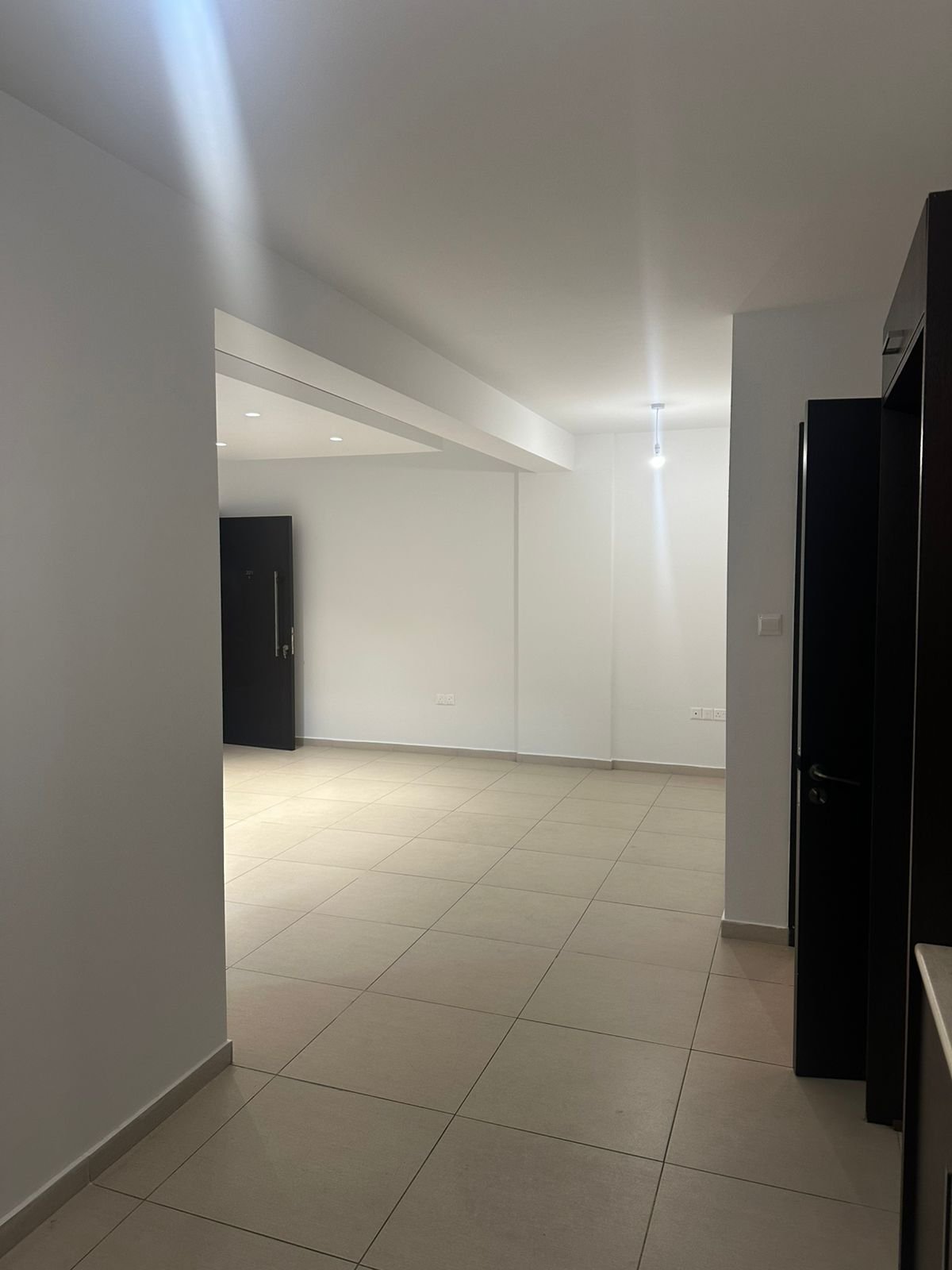 2 BR Apartment in Zakaki, Limassol photo 3