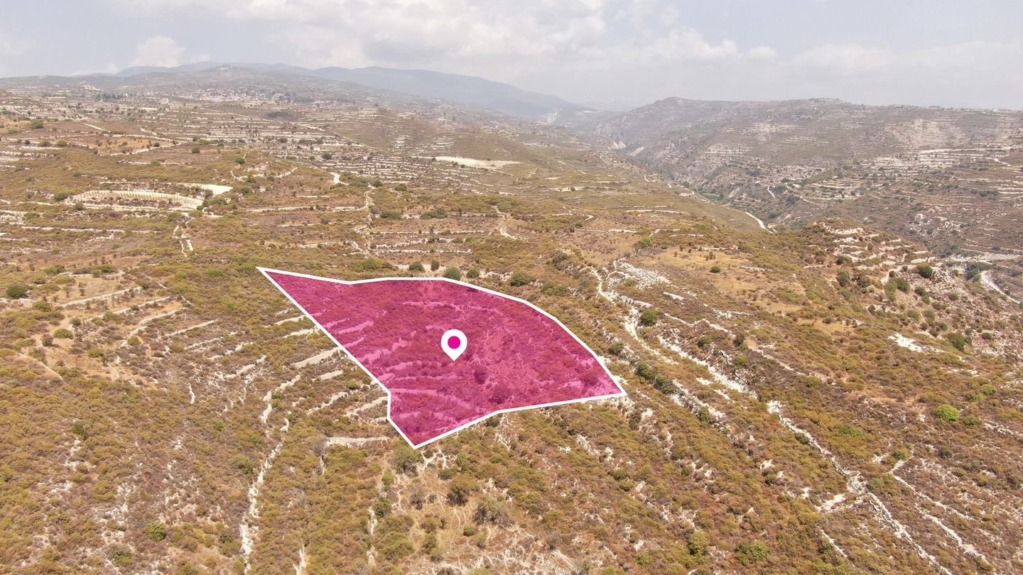 (Share) Agricultural field in Vouni, Limassol photo 1