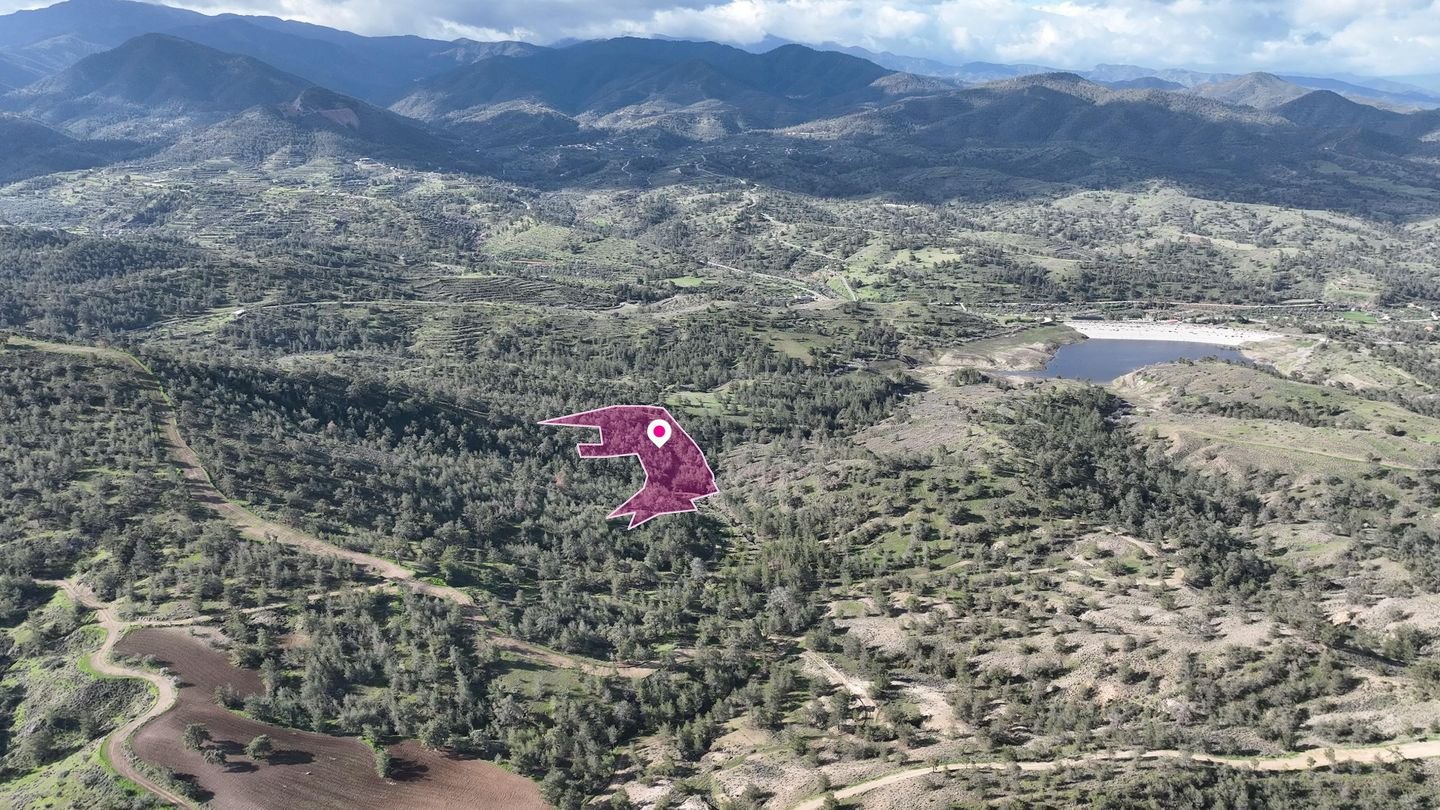 Livestock field in Agia Marina Xyliatou, Nicosia photo 1