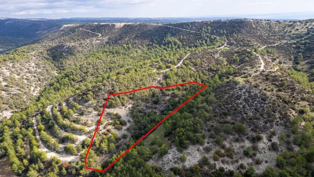 Shared field in Anogyra, Limassol photo 4