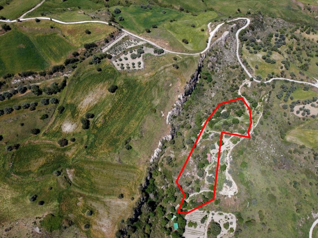 Two shared agricultural fields in Lasa, Paphos photo 5