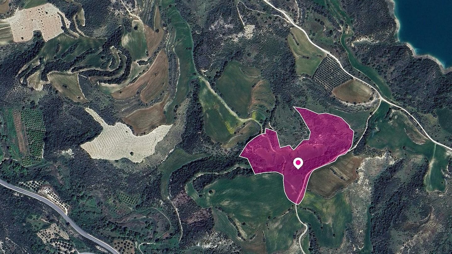 Field in Kato Akourdaleia, Paphos photo 3