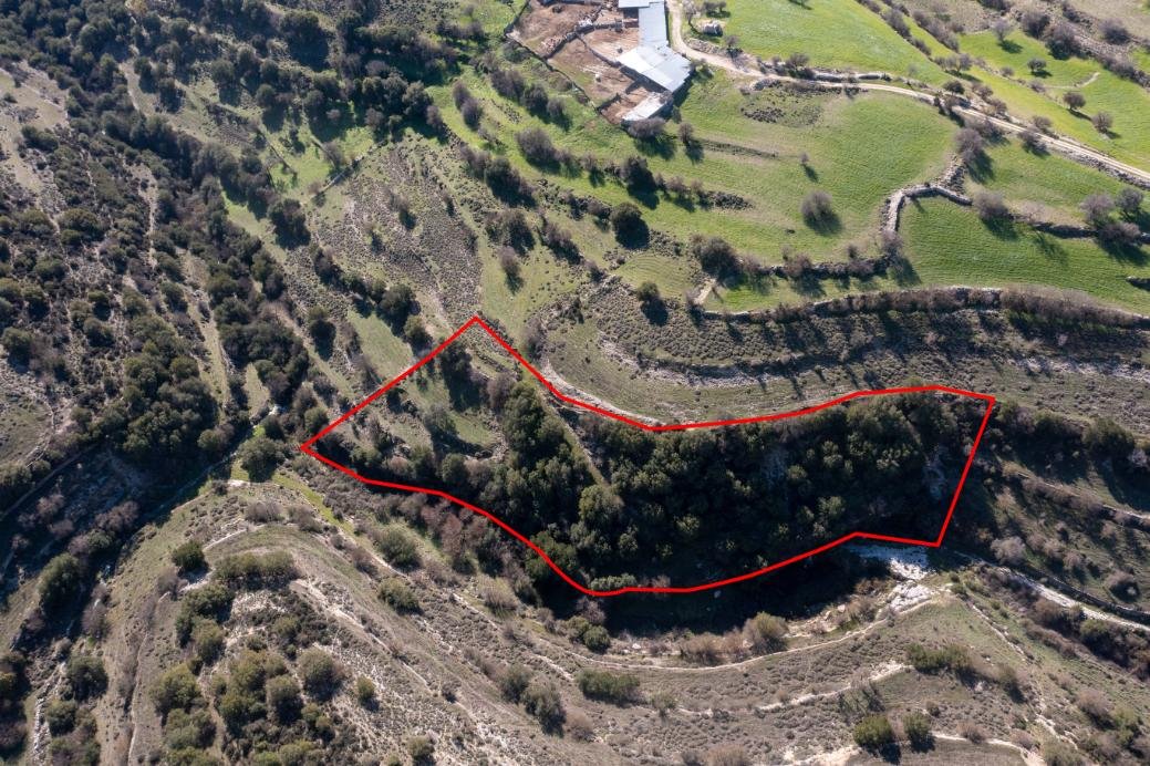 Field in Dora, Limassol photo 1