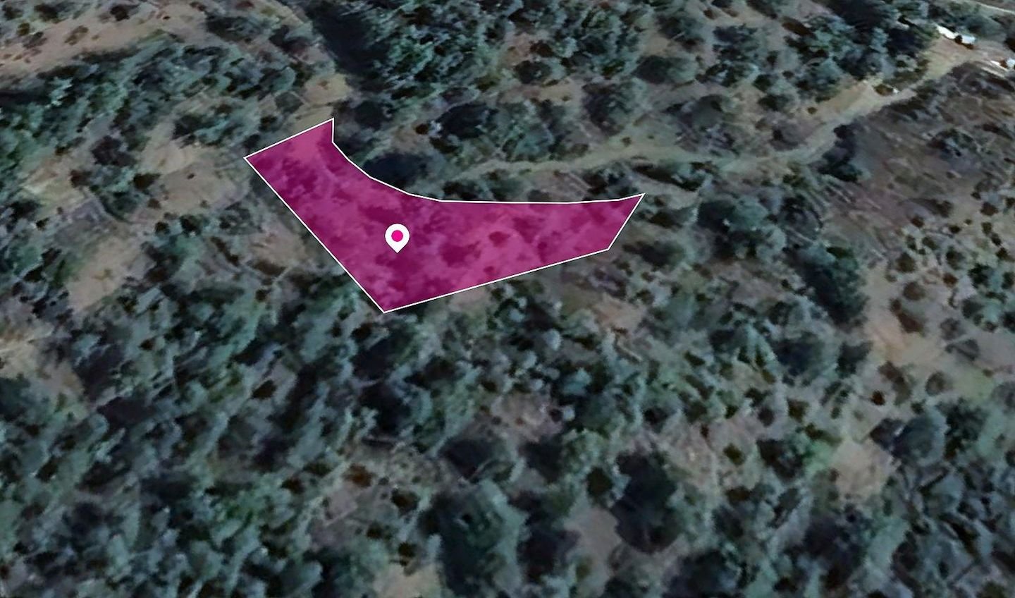 Field In Kampos photo 3