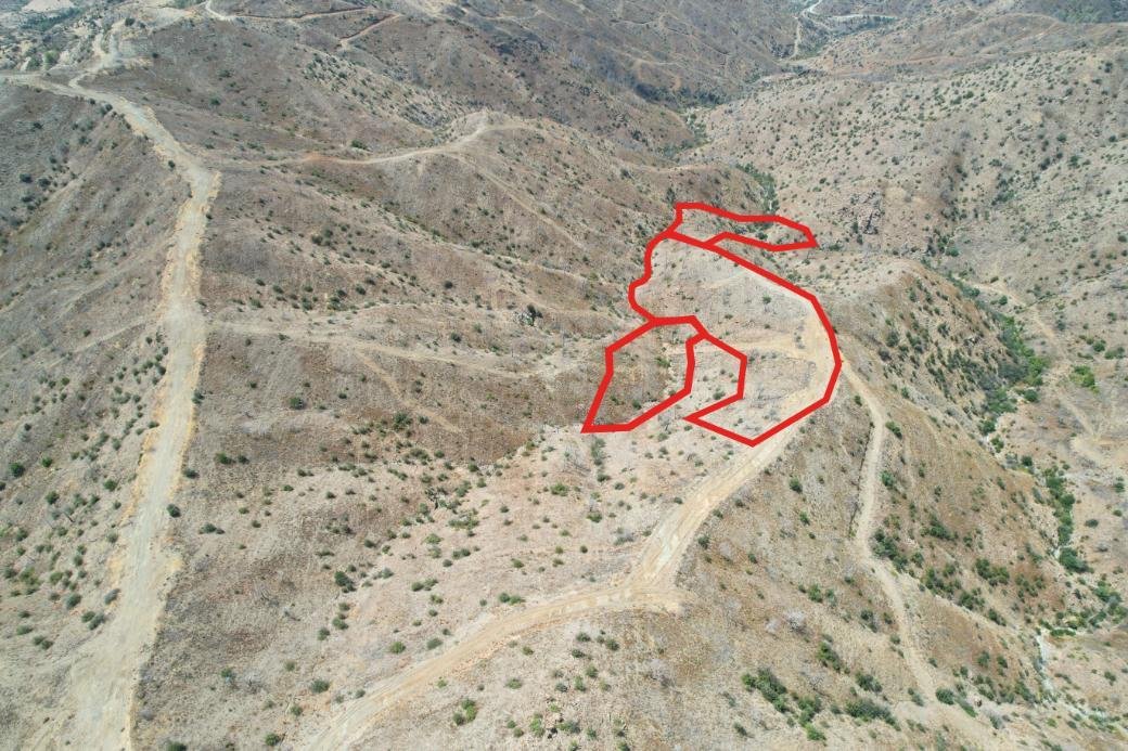 Fields in Eptagoneia, Limassol photo 2