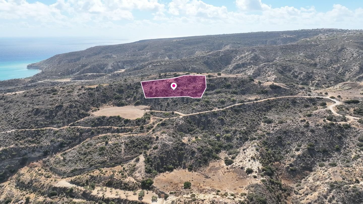 Touristic Field, Pissouri, Limassol photo 3