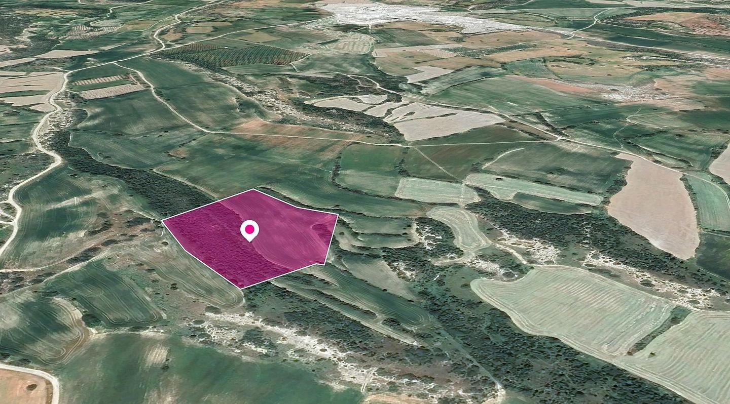 Agricultural Field in Agios Theodoros, Larnaca photo 2