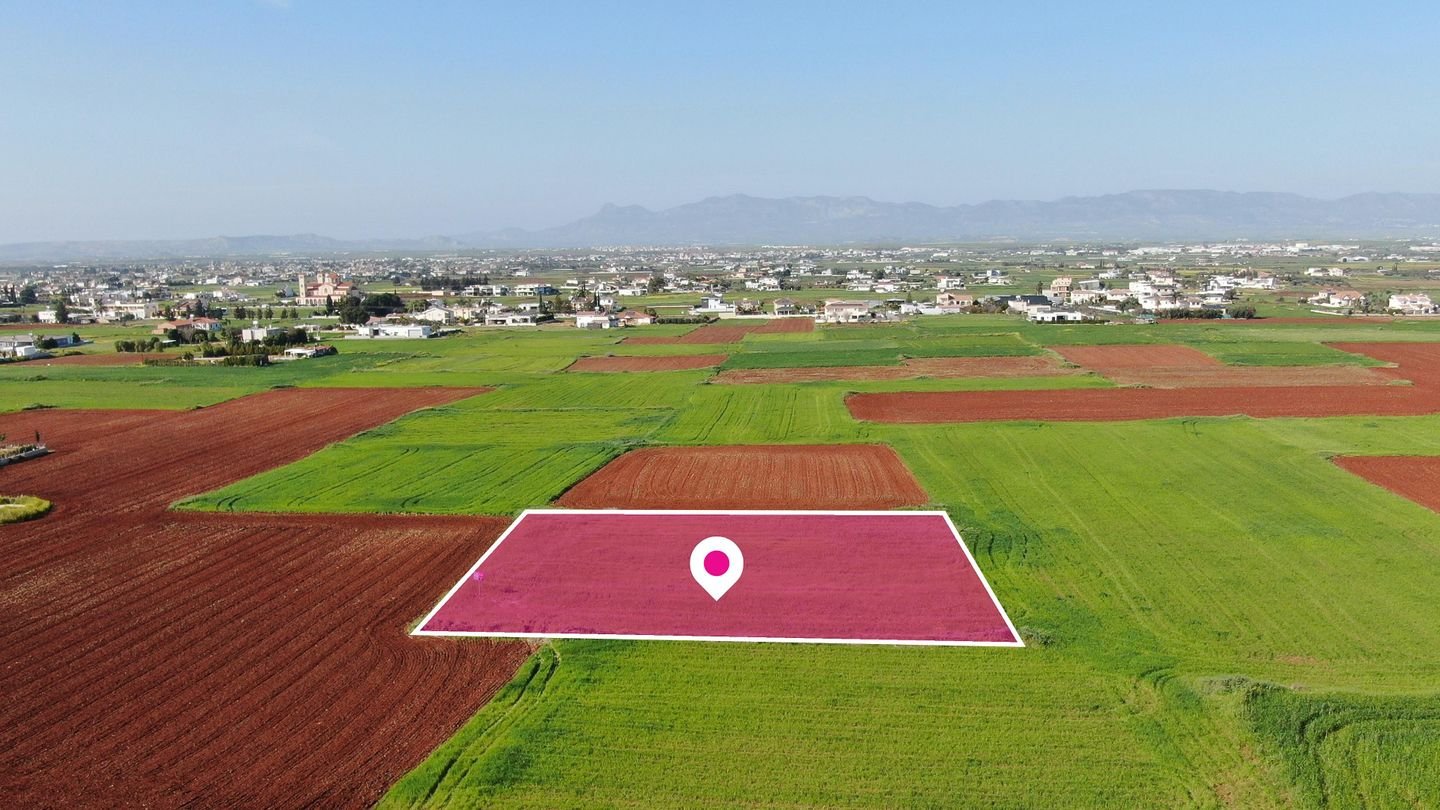 Residential field in Agioi Trimithias, Nicosia photo 3