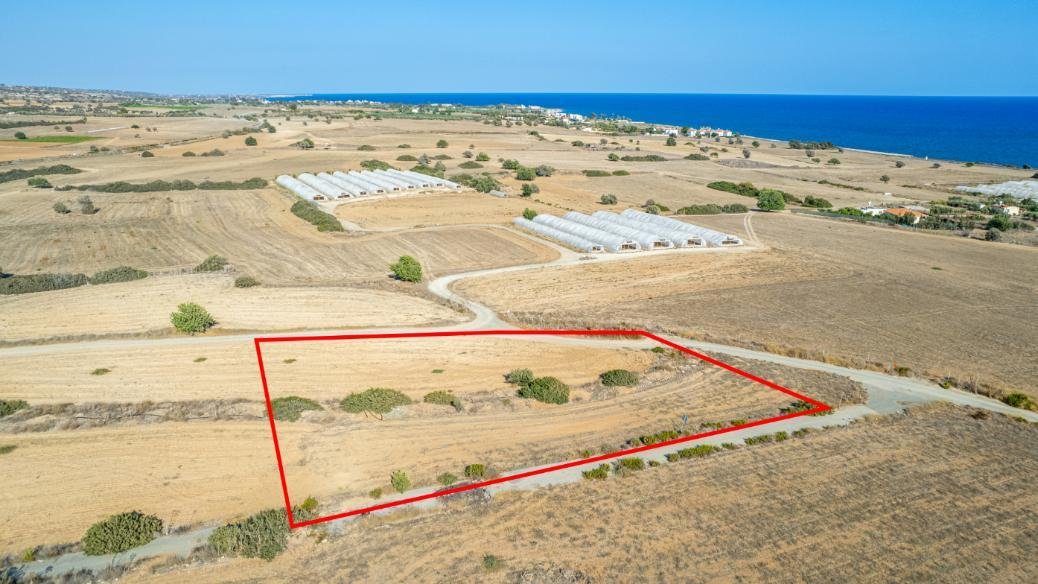 Touristic field in Maroni, Larnaca photo 3