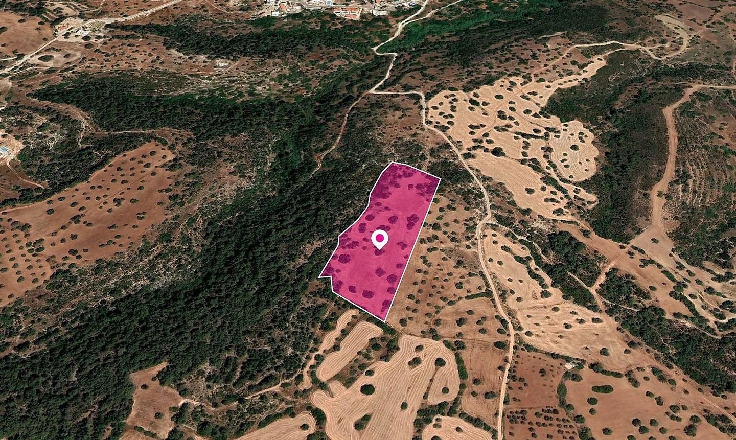 (Share) Field, Neo Chorio, Paphos photo 3