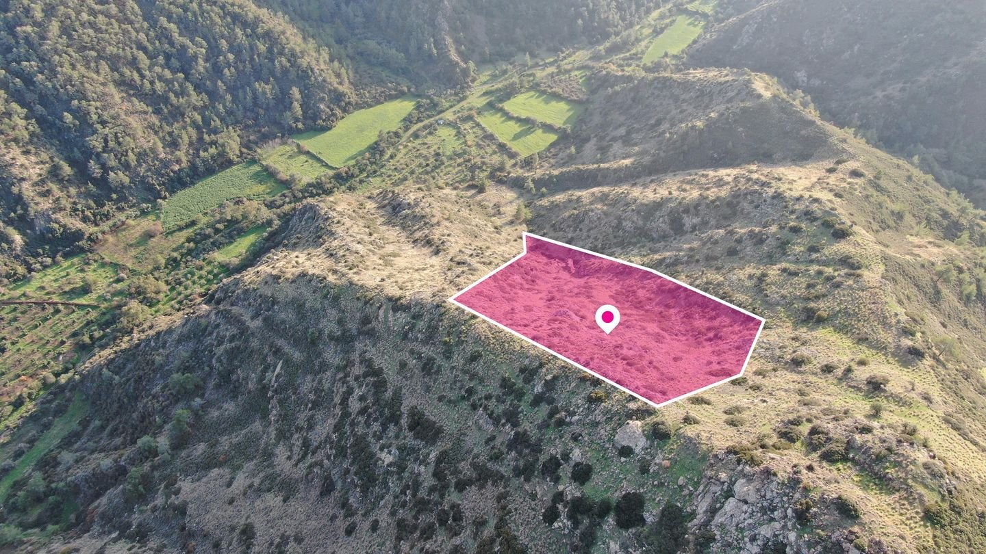Agricultural field located in Pigenia, Nicosia photo 1