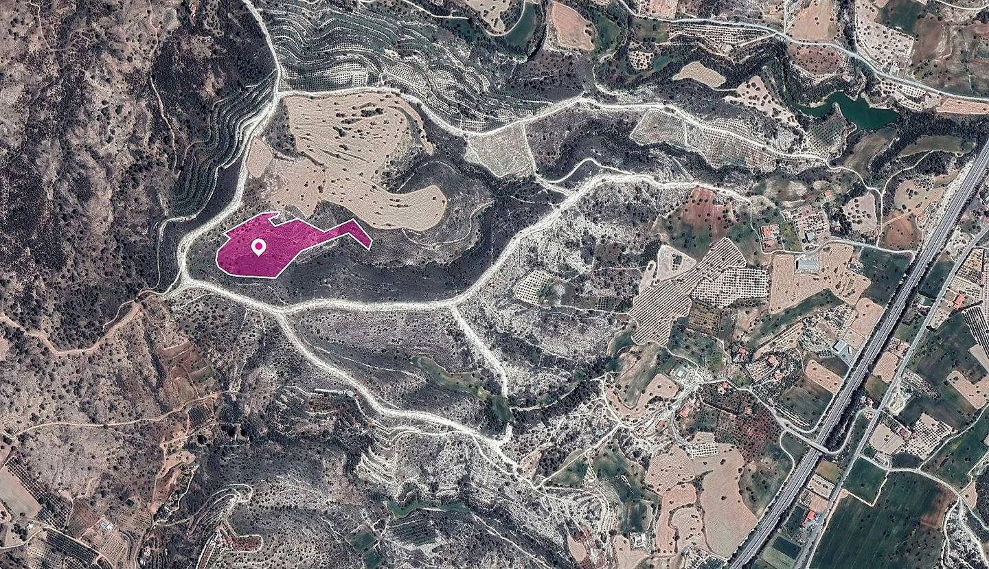 Field in Anglisides, Larnaca photo 2