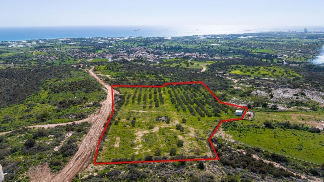 Field in Maroni, Larnaca photo 4