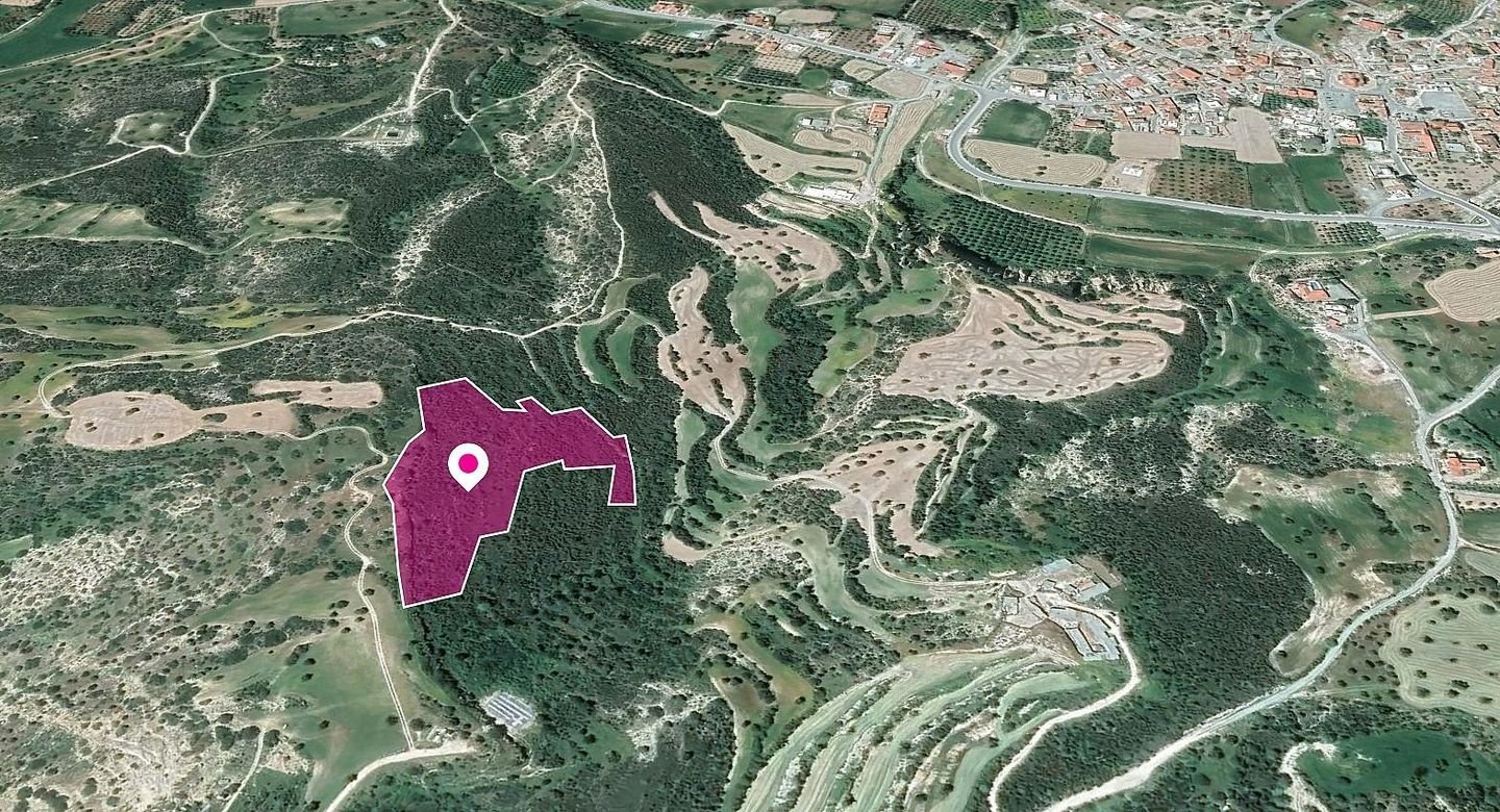 Agricultural Field in Agios Theodoros, Larnaca photo 1