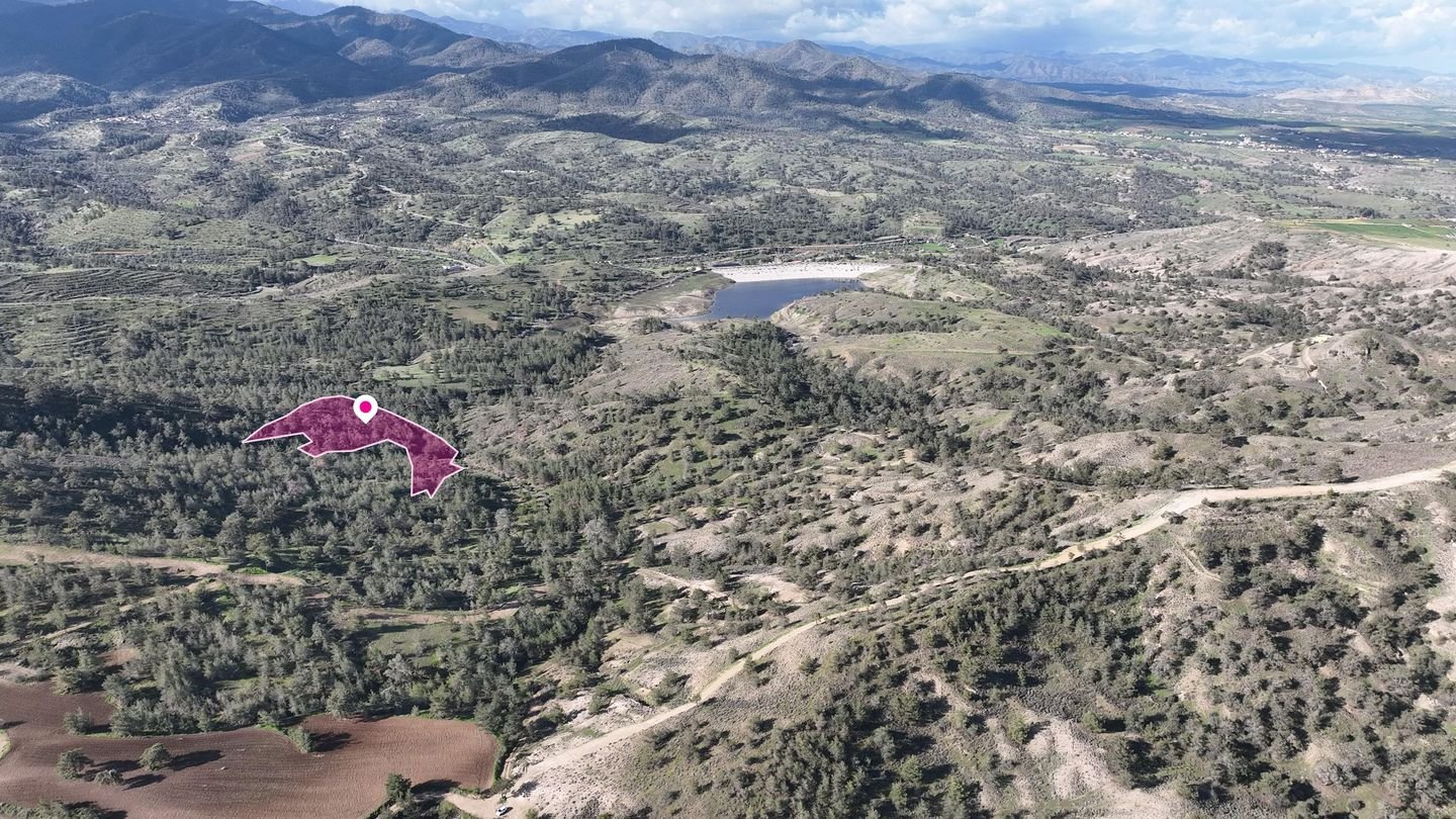 Livestock field in Agia Marina Xyliatou, Nicosia photo 3