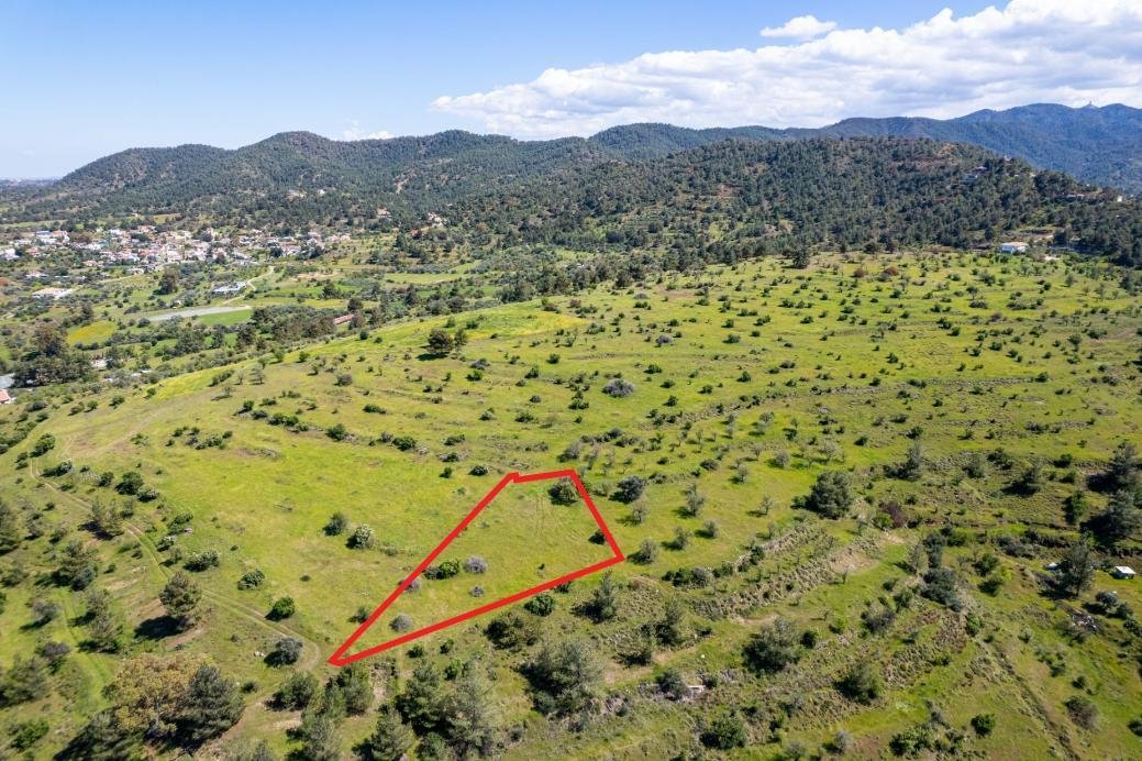 Agricultural field in Kalo Chorio Oreinis, Nicosia photo 3