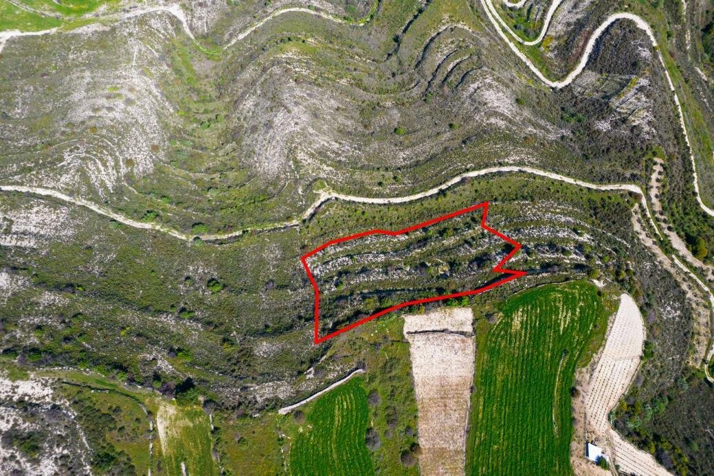 Agricultural field in Pachna, Limassol photo 3